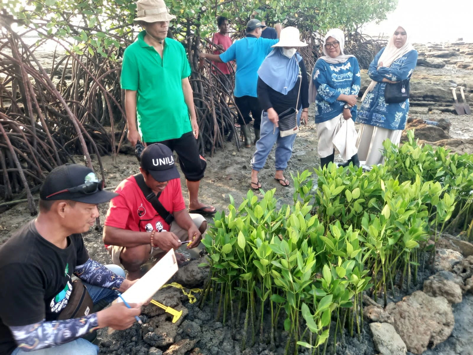 Penanaman 750 bibit mangrove oleh IPB, FK3I, dan PPLHI di Pantai Giligenting Sumenep untuk mencegah abrasi pesisir