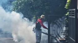 Kasus DBD Kota Bekasi 2026, petugas kesehatan dan kader Jumantik melakukan pemeriksaan jentik nyamuk untuk mencegah penyebaran dengue