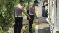 Kecelakaan beruntun truk bus rombongan TK dan sepeda motor di Blega Bangkalan menyebabkan satu korban meninggal dunia Kecelakaan Beruntun di Blega Bangkalan, Pengendara Motor Tewas usai Terjepit Truk