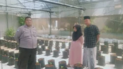 Bhabinkamtibmas Polsek Batang-Batang mengecek tanaman Melon Pertiwi dalam program ketahanan pangan di Desa Nyabakan Barat Sumenep