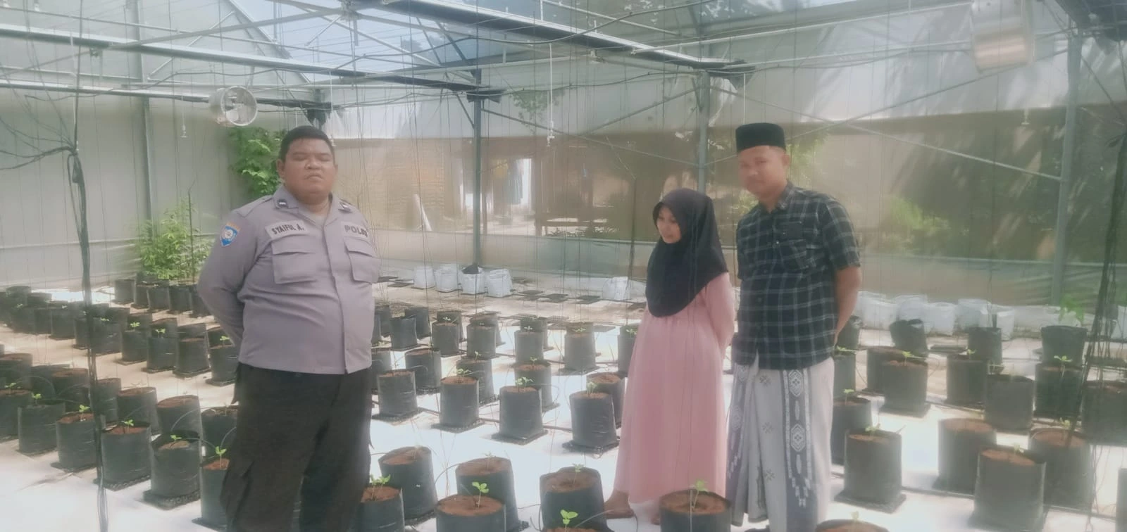 Bhabinkamtibmas Polsek Batang-Batang mengecek tanaman Melon Pertiwi dalam program ketahanan pangan di Desa Nyabakan Barat Sumenep