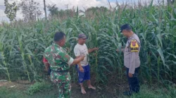Polsek Kalianget cek lahan sayuran warga Desa Kalianget Timur Sumenep untuk mendukung program ketahanan pangan nasional