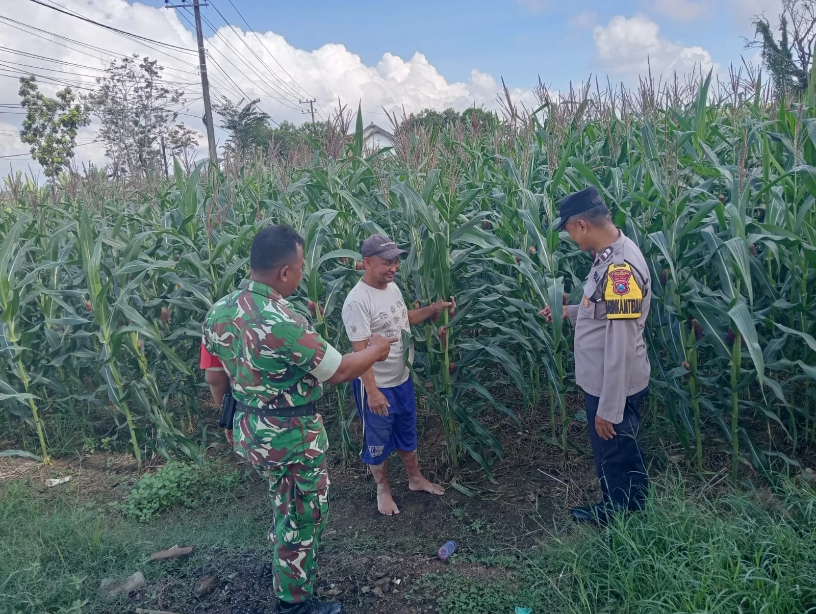 Polsek Kalianget cek lahan sayuran warga Desa Kalianget Timur Sumenep untuk mendukung program ketahanan pangan nasional