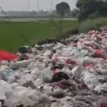 Sampah Liar Menumpuk di Jalan Raya Kedaung Babelan, Ganggu Pengguna Jalan dan Cemari Lingkungan