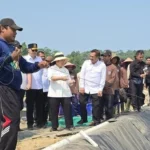 Titiek Soeharto Tinjau Panen Udang Vaname di Nusakambangan, Napi Dapat Upah Rp25 Ribu per Hari