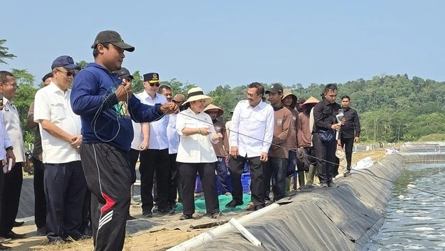 Titiek Soeharto meninjau budidaya dan panen udang Vaname bersama narapidana di Nusakambangan, Cilacap