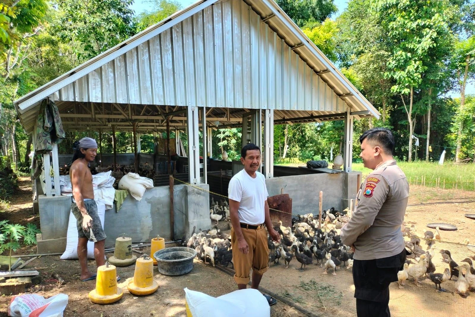 Bhabinkamtibmas Polsek Bluto memantau peternakan bebek di Desa Aeng Dake, Kabupaten Sumenep, sebagai dukungan terhadap program ketahanan pangan nasional