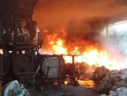 Pabrik Pengolahan Tulang Hewan di Sidoarjo Terbakar, Dugaan Api Berasal dari Pembakaran Sampah Plastik