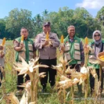 Polres Sumenep Dampingi Panen Jagung Hibrida, Perkuat Ketahanan Pangan Nasional di Batang-Batang
