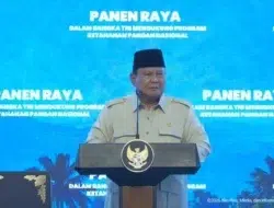 Prabowo Sindir Pengkritik Harga Beras: Kalau Mahal, Tanam Padi Sendiri