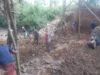 Program Bakti TNI AD untuk Rakyat Madura, Pembangunan Jembatan di Pasongsongan Masuki Tahap Pondasi
