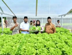 Sumenep Dorong Pertanian Modern, Hidroponik IRA Farm Jadi Contoh Ketahanan Pangan Berbasis Teknologi