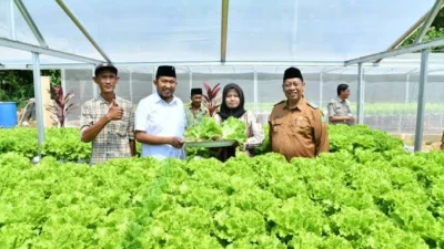 Bupati Sumenep Achmad Fauzi meninjau kebun hidroponik IRA Farm di Desa Ketawang Laok Kecamatan Ganding