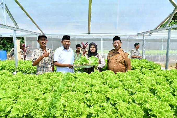 Bupati Sumenep Achmad Fauzi meninjau kebun hidroponik IRA Farm di Desa Ketawang Laok Kecamatan Ganding