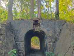 Viaduk Kolonial di Desa Karduluk Sumenep, Jejak Jalur Kereta Api Lama di Pesisir Madura