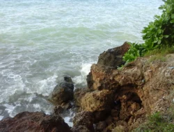 Abrasi Giligenting Mengancam Pesisir dan Masa Depan Ekonomi Masyarakat Laut