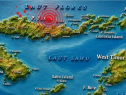 BMKG Catat 2.768 Gempa Susulan Guncang Flores, Terbesar M 6,2