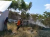 BNPB Catat Karhutla di Empat Daerah, 16 Hektare Lahan Terbakar