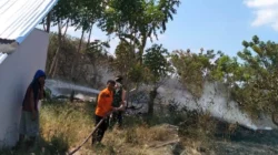 Karhutla di empat daerah Indonesia, 16 hektare lahan terbakar.