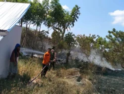 BNPB Catat Karhutla di Empat Daerah, 16 Hektare Lahan Terbakar
