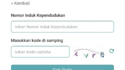 Cara cek desil DTSEN dengan NIK melalui laman resmi BPS