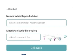 Cara Cek Desil DTSEN Pakai NIK, Lengkap dengan Arti Desil 1-10