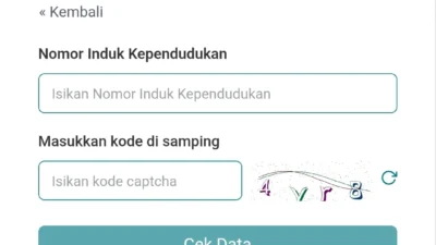 Cara cek desil DTSEN dengan NIK melalui laman resmi BPS