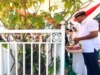 Harjakasi ke-208, Bupati Situbondo Ziarah ke Makam KH Asad Syamsul Arifin