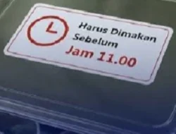 BGN Wajibkan Label Batas Waktu Konsumsi pada Ompreng Makan Bergizi Gratis Mulai Pekan Depan