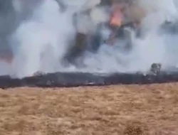 Jalur Pendakian Gunung Gede Ditutup Sementara Usai Kebakaran Alun-alun Suryakencana