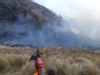 Karhutla Gunung Bromo Capai 60 Hektare, BNPB Siapkan Dua Helikopter Water Bombing