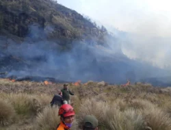 Karhutla Gunung Bromo Capai 60 Hektare, BNPB Siapkan Dua Helikopter Water Bombing