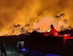 Karhutla Kaltim Meluas, DPR Minta Pemerintah Evaluasi Status Kedaruratan