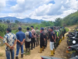 Karhutla Melanda Sejumlah Daerah, BNPB Catat Puluhan Hektare Lahan Terbakar