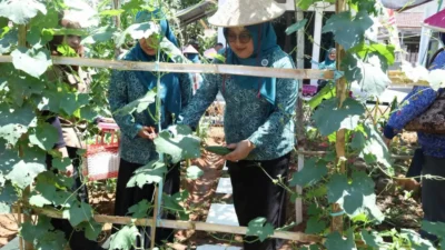 Lomba Aku Hatinya PKK Bangkalan manfaatkan pekarangan untuk pangan keluarga