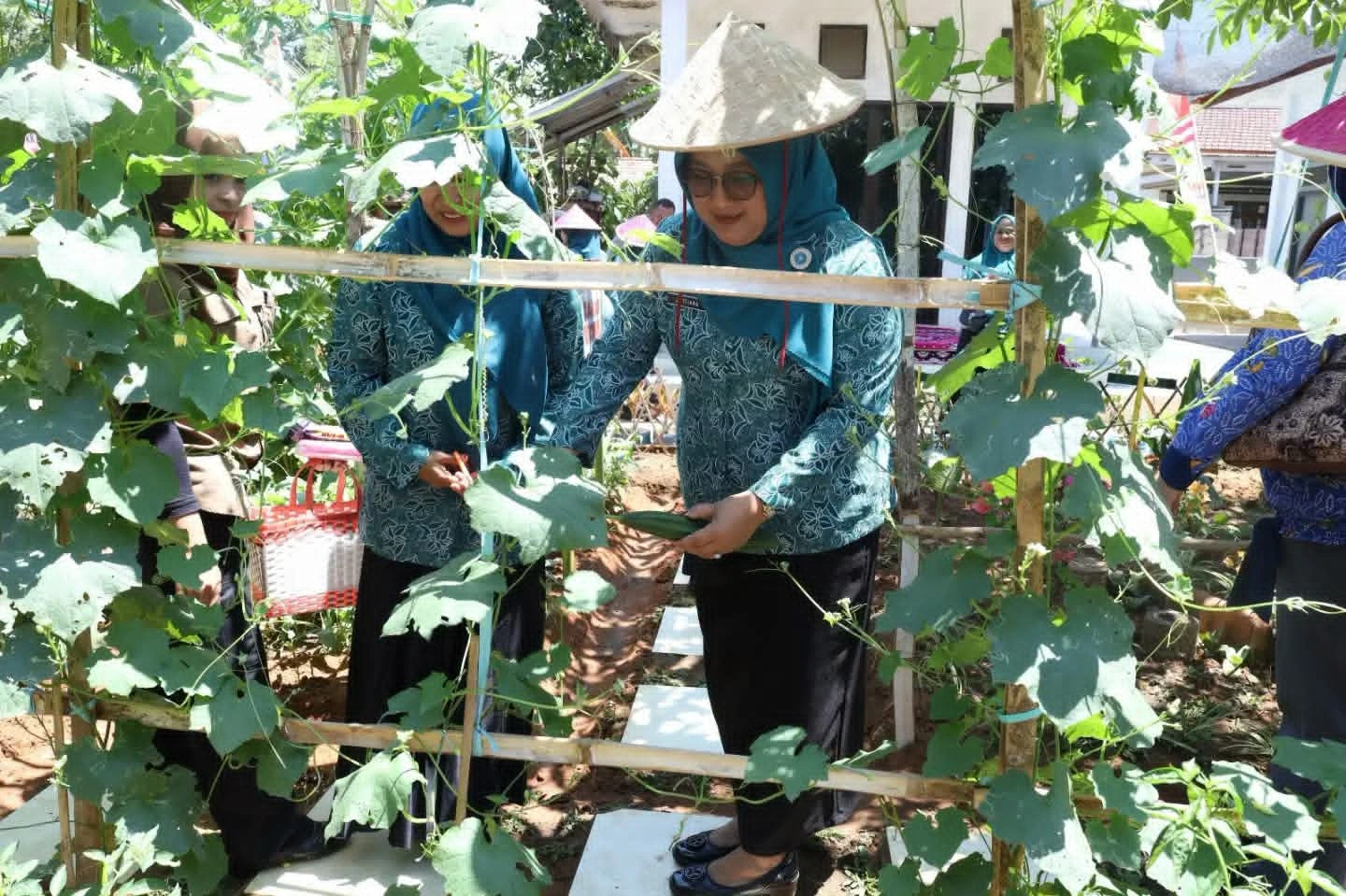 Lomba Aku Hatinya PKK Bangkalan manfaatkan pekarangan untuk pangan keluarga