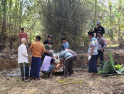 Mayat Perempuan Terbakar Ditemukan di Tegalan Sumenep, Polisi Selidiki Lokasi Kejadian