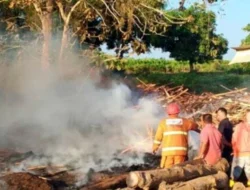 Pamekasan Waspada Kebakaran Saat Puncak Kemarau, Warga Diminta Jangan Bakar Sampah Sembarangan
