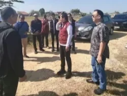 MUI Ingatkan Panitia Lomba 17 Agustus Soal Biaya Pendaftaran dan Hadiah