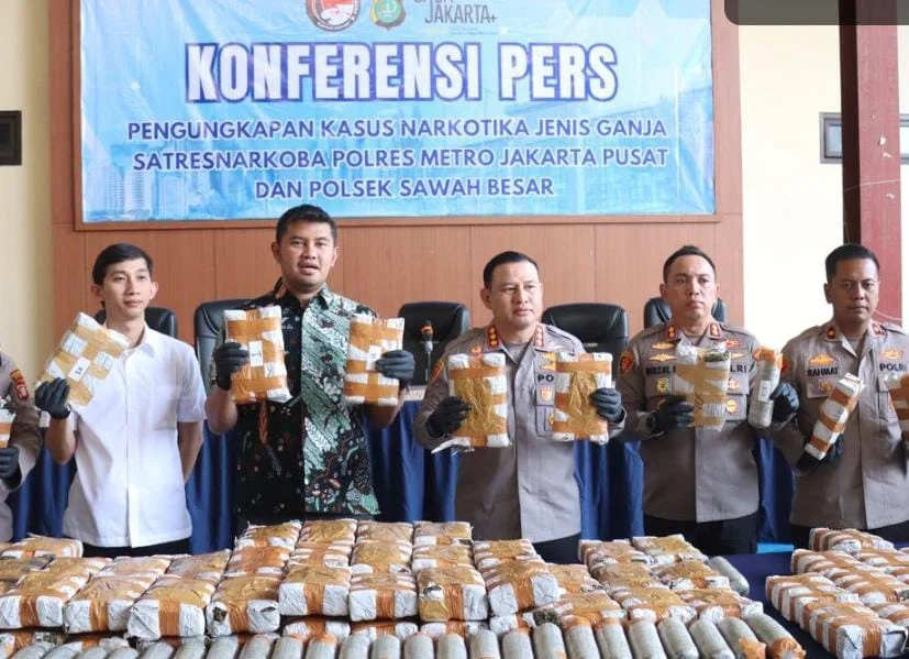 Polres Metro Jakarta Pusat menyita 132 kilogram ganja dari jaringan narkoba lintas provinsi