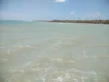 Prakiraan Cuaca Maritim Jatim 19 Agustus 2026: Gelombang Selatan Capai 3,2 Meter