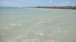 Prakiraan cuaca maritim Jawa Timur 19 Agustus 2026