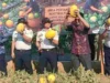 5.400 Semangka Golden di Lapas Pamekasan Mulai Dipanen