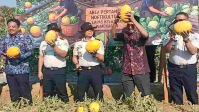 Panen semangka golden di Lapas Kelas IIA Pamekasan