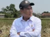 Amran Kantongi Restu Prabowo untuk Gaspol Berantas Mafia Beras