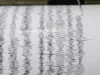 Gempa M4,3 Guncang Cianjur, Getarannya Terasa hingga Jakarta