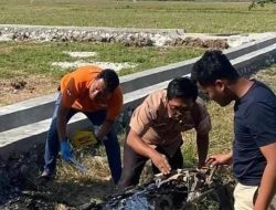 Motor Honda Scoopy Dibakar OTK di Bangkalan, Polisi Selidiki Motifnya