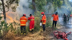Karhutla Jatim di Gunung Kawinajang dan Gunung Wilis