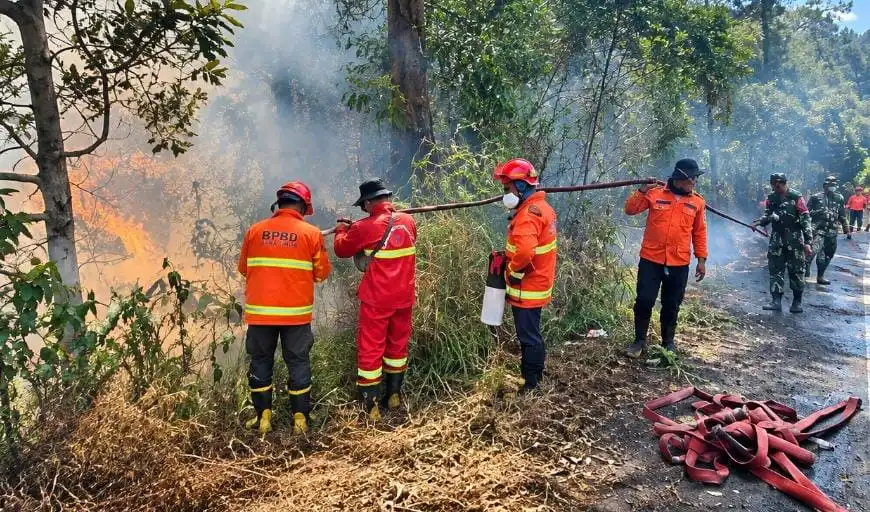 Karhutla Jatim di Gunung Kawinajang dan Gunung Wilis