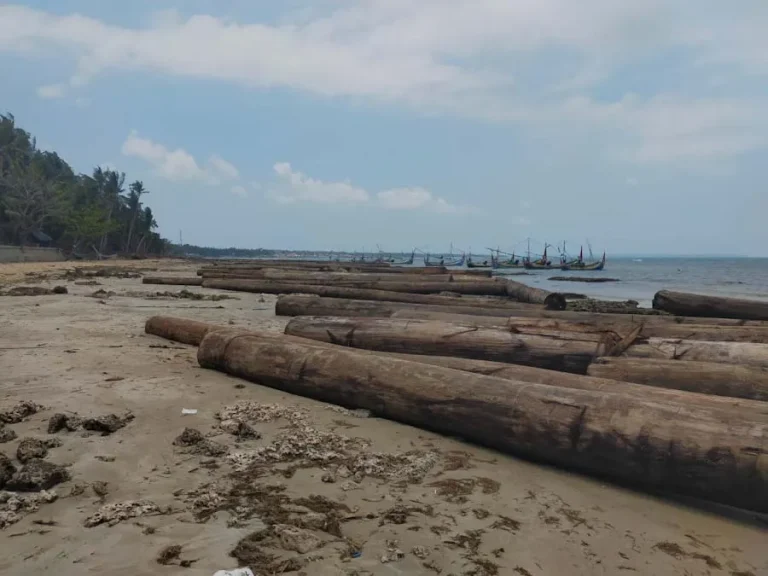 405 kayu gelondongan terdampar di pesisir Sumenep akibat cuaca buruk